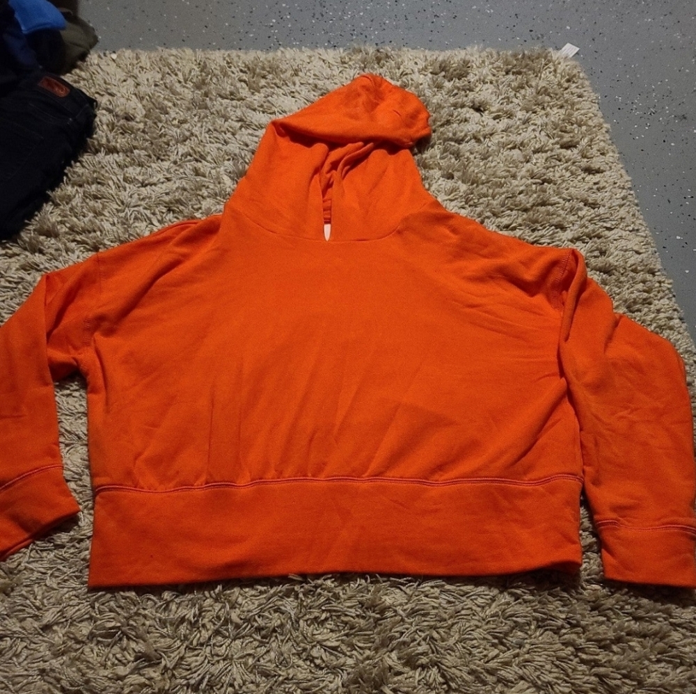 NWOT Offline by Aerie crop hoodie